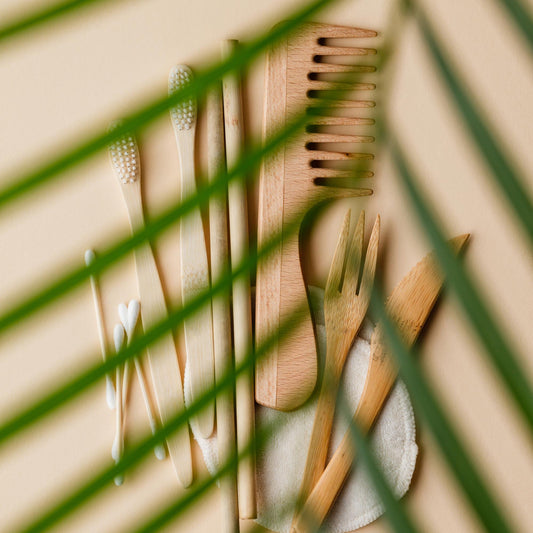 Sustainable Swaps—Eco-Friendly Alternatives for Common Household Products